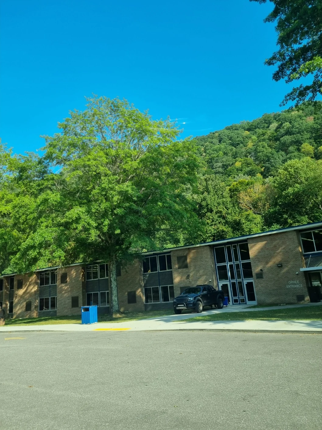 미국 학교 건물과 나무가 어우러진 주변 풍경